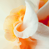 image04
