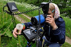 Isabella Fügenschuh - Makrofotografie